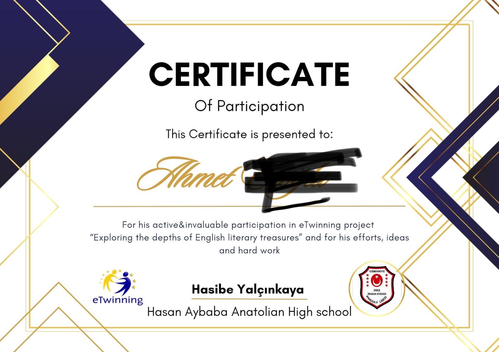 Certificate of Participation