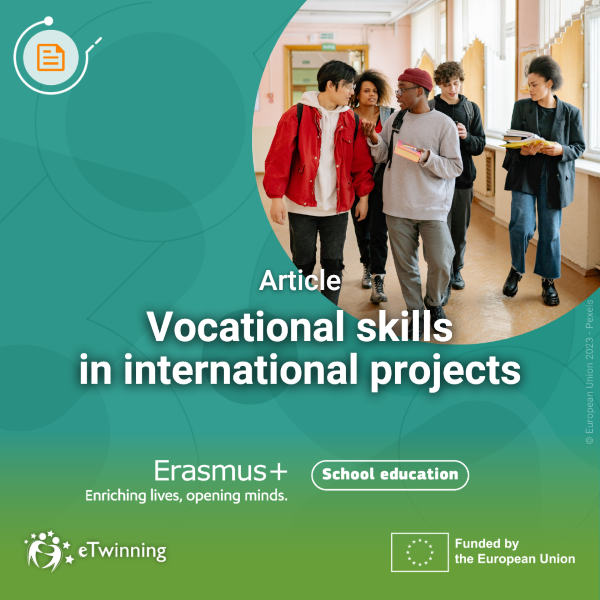 VET skills in international projects