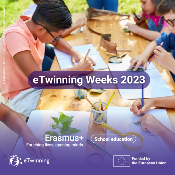 eTw weeks 23 visual