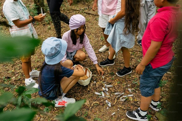 Children in the woods collecting leaves