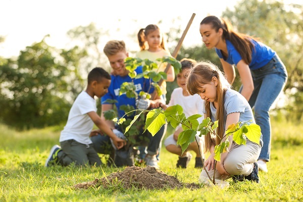 children and adults planting trees