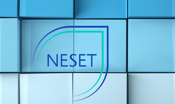 NESET report