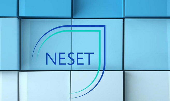 NESET logo for 'Addressing the gender gap in STEM education at every level' publicaton