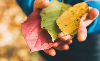 Outdoor education for preschool teachers: supporting child development in and for the environment