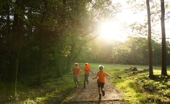 Outdoor education: a new way of teaching and learning