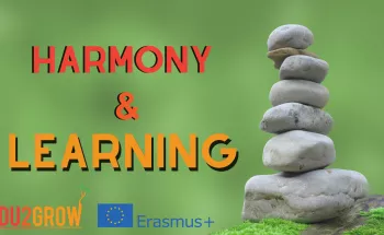 Harmony and learning