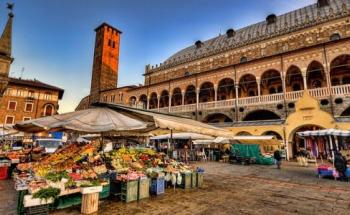 Fruits square of Padua