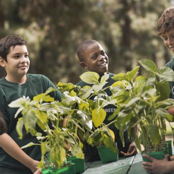 "Green and Blue Schools" course