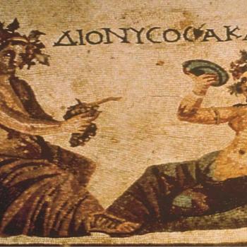 Erasmus KA1 staff training courses in Cyprus, wine making in Limassol, Cyprus,