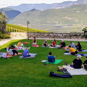 Yogaübung im Park der Akademie