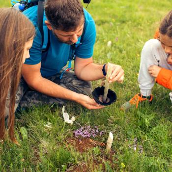 Azores, Preserving Nature: Teaching sustainability skills
