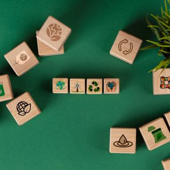 Ludicity and Sustainability