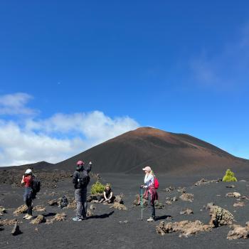 Tenerife Back to Nature & Mental Welfare training course