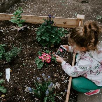 Environmental Changes for Sustainable Schools
