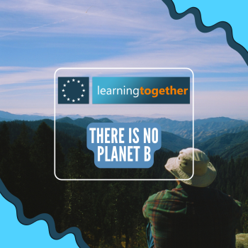 sustainability and environment in schools