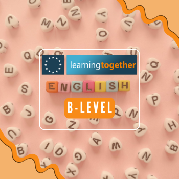 english language erasmus