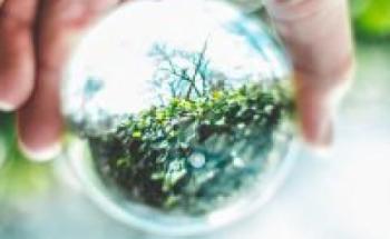 Environmental Education