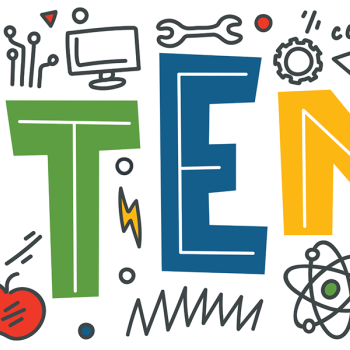 stem-1