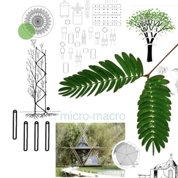 Environmental and Social innovative practices in educative contexts
