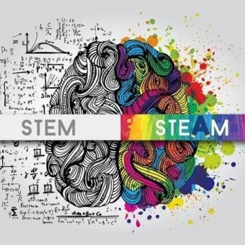 A brain divided into two lobs representing STEM and STEAM