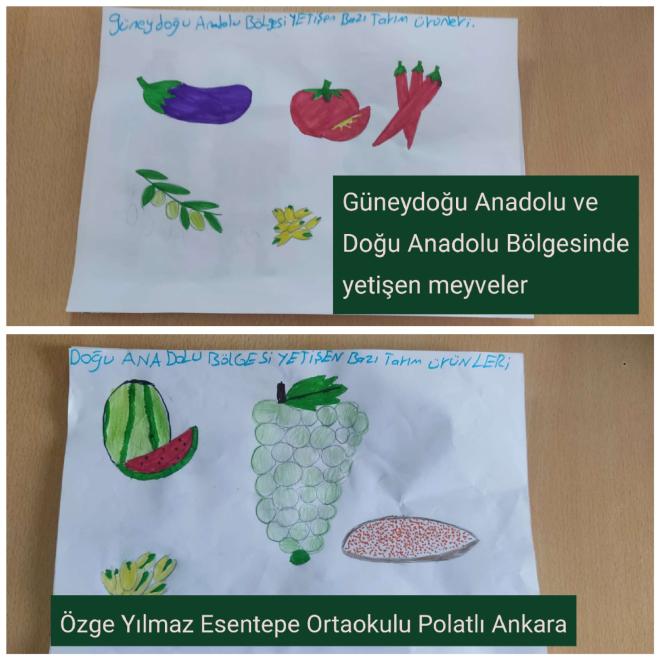 Güneydoğu ve Doğu Anadolu bölgesi tarım özge