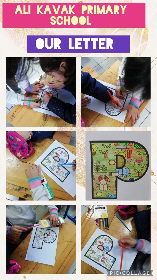 Ayşe Gül AKGÜN ALİ KAVAK PRİMARY SCHOOL