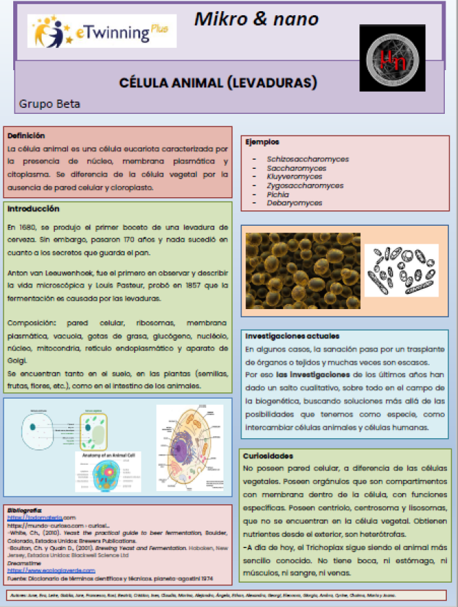 poster_equipo_beta_células animales