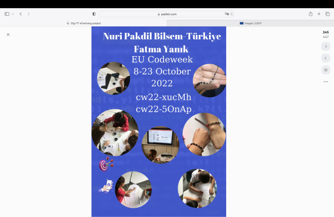 Fatma Yanık-NPB-Türkiye