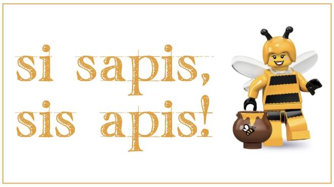 sapis apis