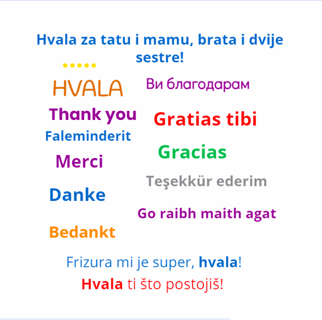 Srednja strukovna škola M a k a r s k a / za 100. dan u školi