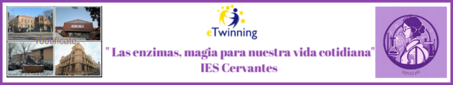 Las enzimas, magia para nuestra vida cotidiana IES Cervantes