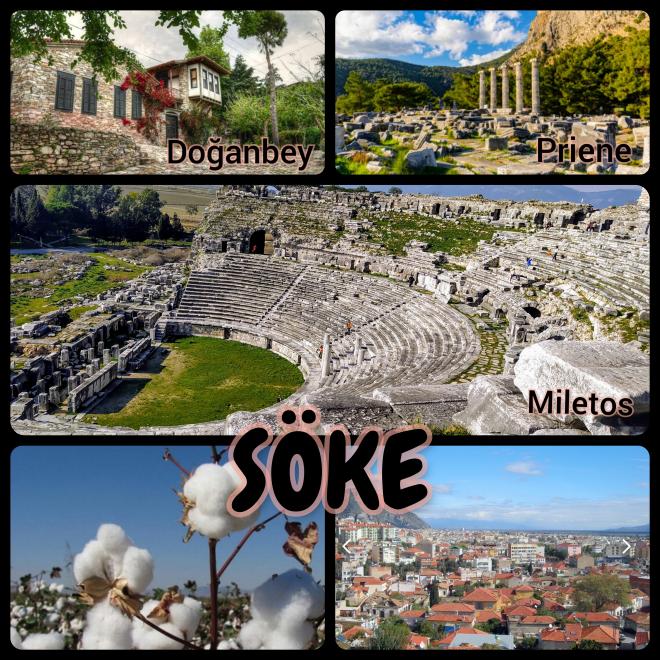 Introduction of Söke