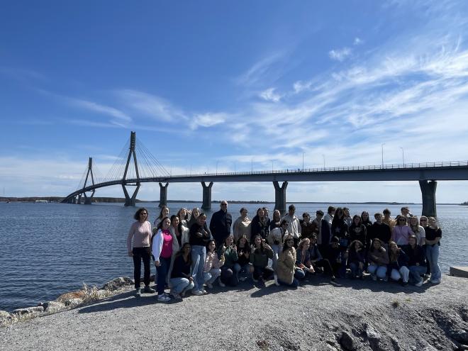 Raippaluoto brigde in Vaasa.