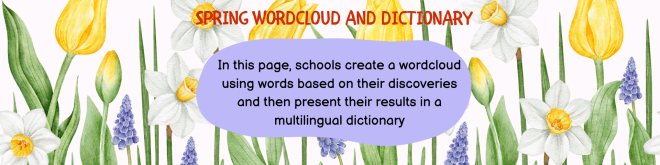 wordcloud and dictionary