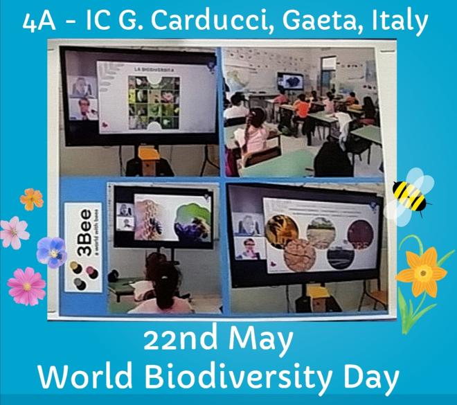 4a_22nd_may_ic_g_carducci_gaeta_italy