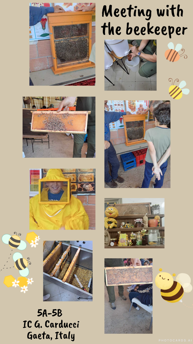 5a-5b_maria_boni_beekeeper
