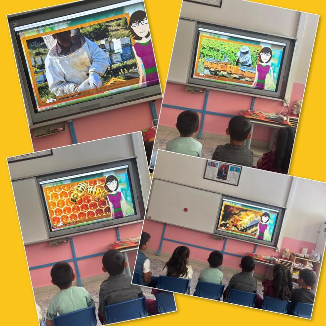 ŞULE ATEŞ BAYRAKCI - BELLİTAŞ PRİMARY SCHOOL - HINIS / ERZURUM / TÜRKİYE