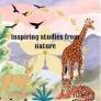 Inspiring Stories from Nature