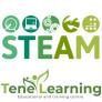 steam teneleraning tenrife education gamification