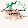 The Magic of Nature: Biomimicry