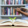 small plant growing from an open book