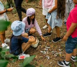 Children in the woods collecting leaves