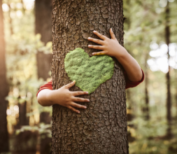 arms hugging a tree with a green heart on it
