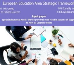 Report cover image: Input paper on special educational needs 