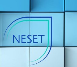 NESET logo for 'Addressing the gender gap in STEM education at every level' publicaton