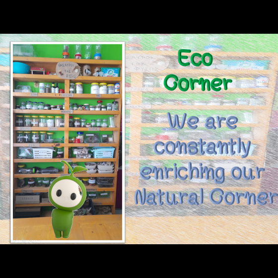 Eco 