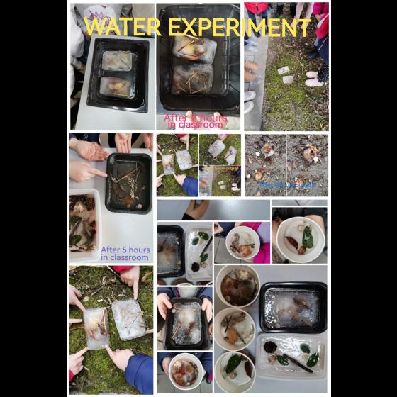 water experiment