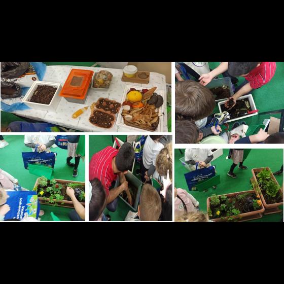 compost