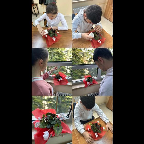 Our students met the water needs of the cyclamen flower, which came to our classroom as a gift.