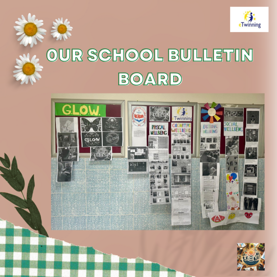 OUR SCHOOL BULLETIN BOARDS